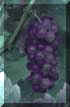 grapes1bv.jpg (1858 bytes)